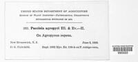 Image Associated With the Occurence